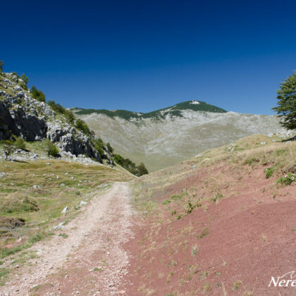 Dirt road from Umoljani to Lukomir