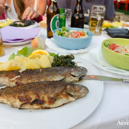 Fresh trouts at Vrelo Bune