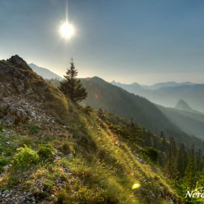 Sutjeska under Maglic