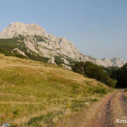 Way to Trnovačko jezero